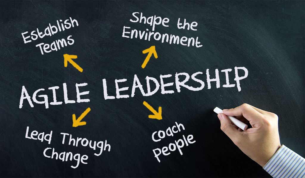 The Role of the Agile Transformation Leader