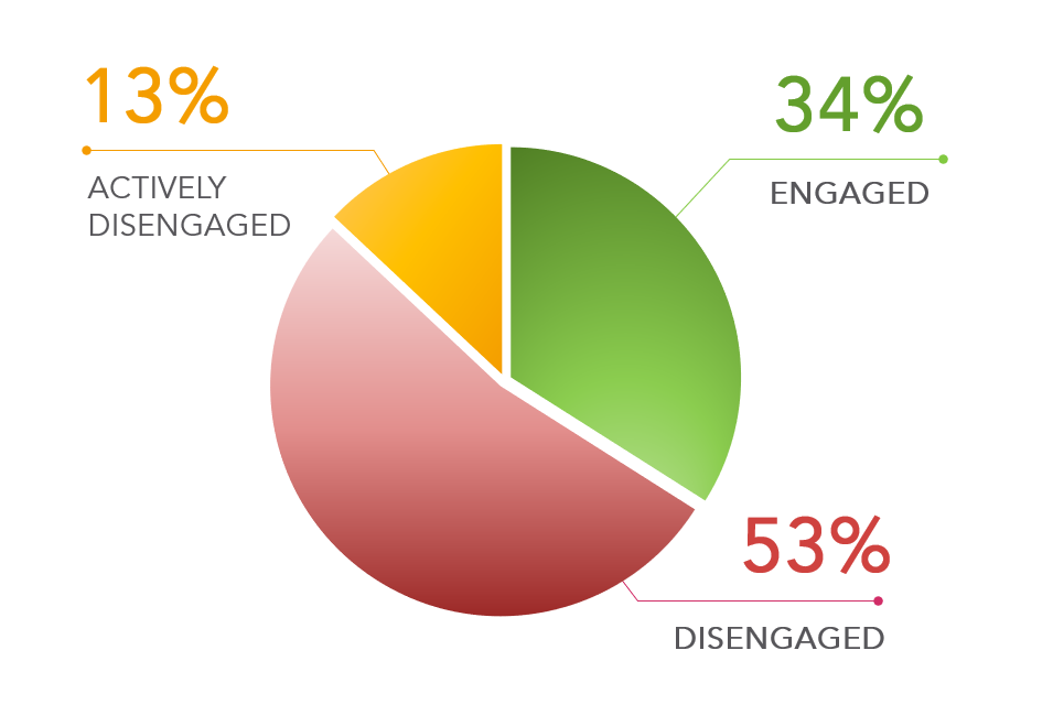 Gallup Employee Engagement Survey 2018