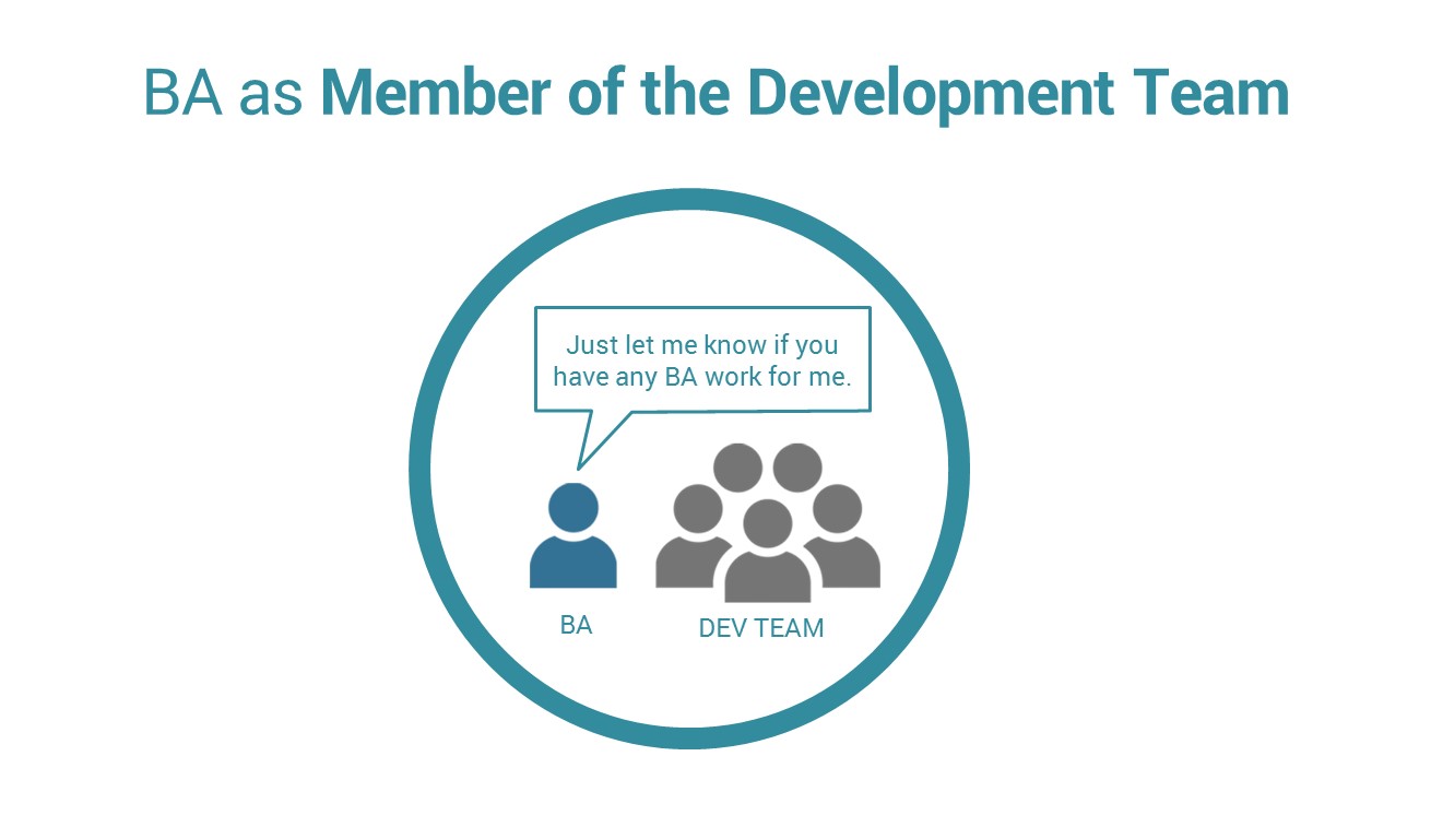 business analyst as a member of dev team