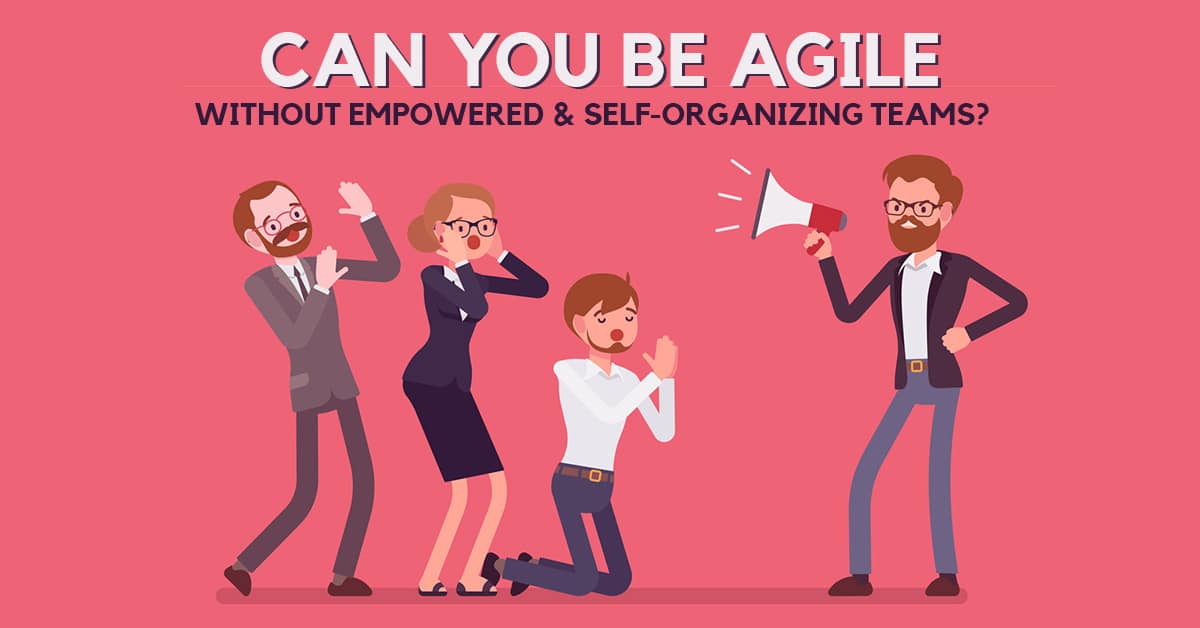 Can You Be Agile Without Empowered & Self-Organizing Teams?