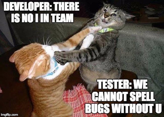 developers and testers agile tester fail