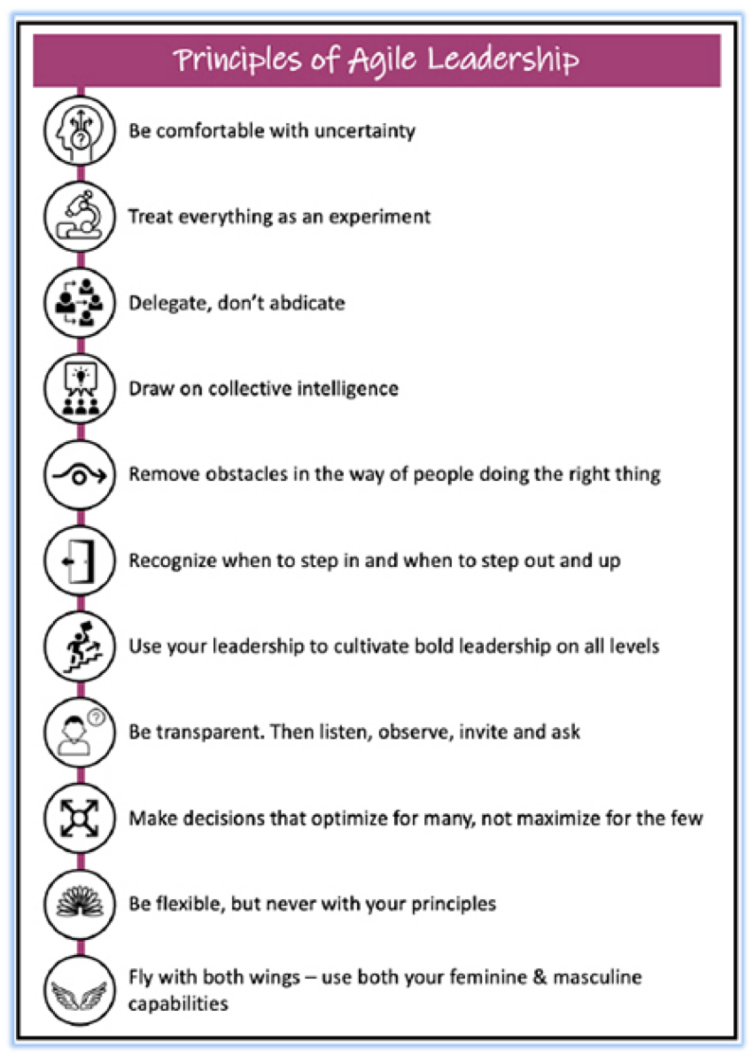 Principles of Agile Leadership by Anjali Leon