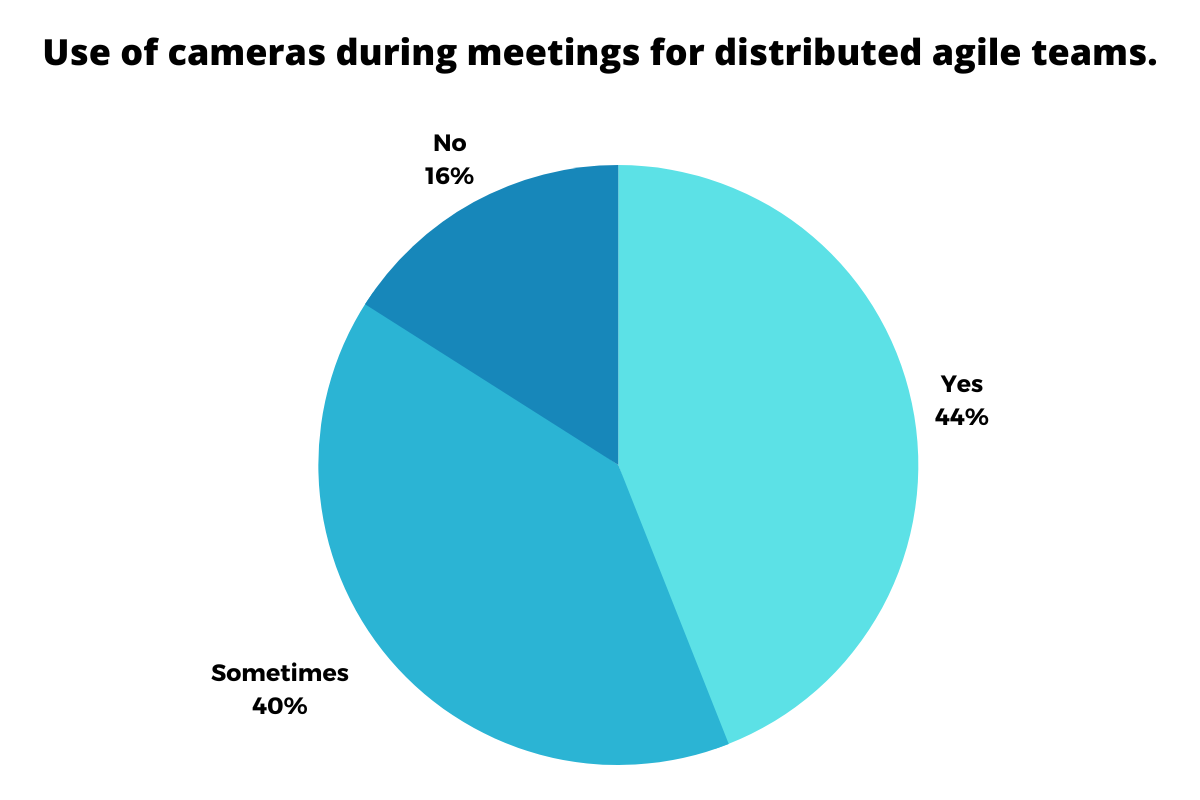 Camera Usage During Team Meetings for Distributed Agile Teams Poll 2022