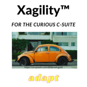 Sustainable Xagility Agile Podcast